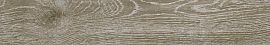 Apavisa Iconic Beige natural ramp 15x90