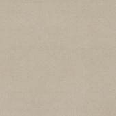 Atlas Concorde Arkshade Dove 120x120 Matt