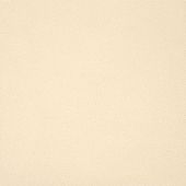 Casalgrande Padana Unicolore Bianco Avorio 30x30 Technic R10