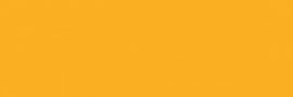 Ragno Unitech Giallo Lux 10x30