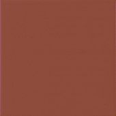 Ragno Unitech Terra Matt 20x20